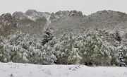 05 I boschi sono ancora tutti carichi di foglie, le betulle e la loro prima neve...